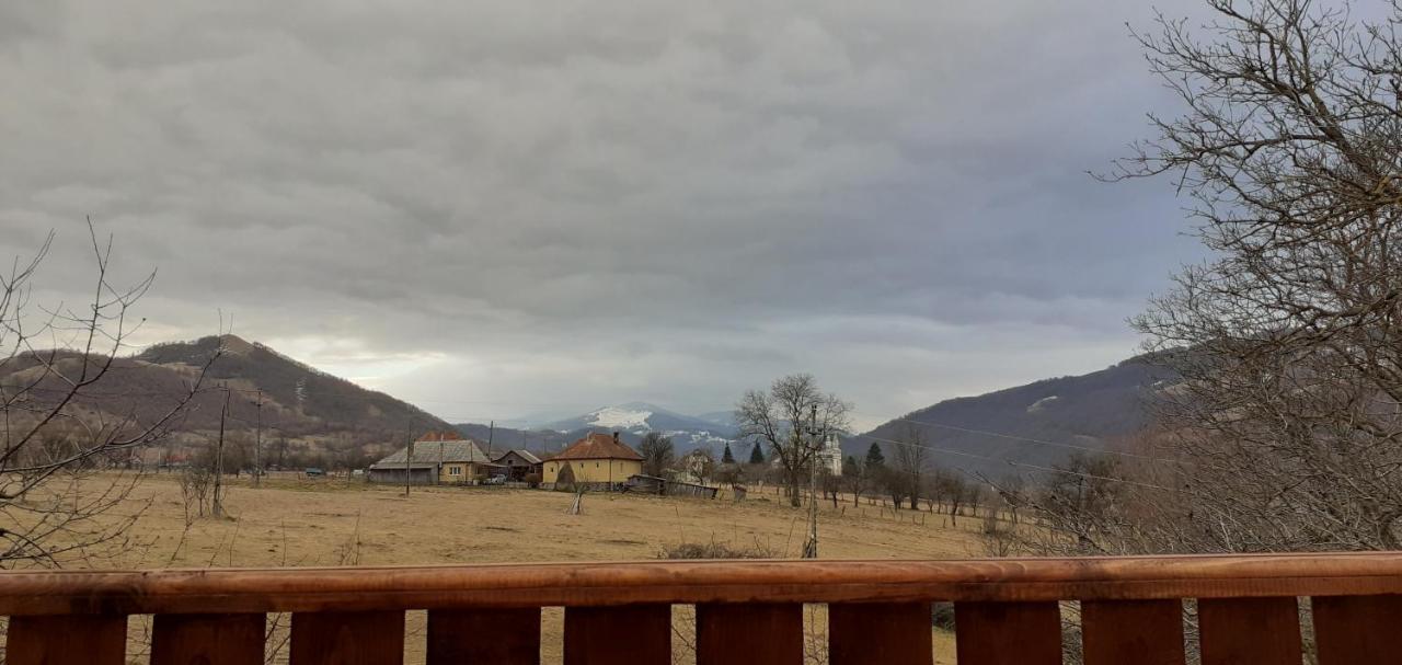 Pensiunea Agroturistica Ica Valea Drăganului エクステリア 写真