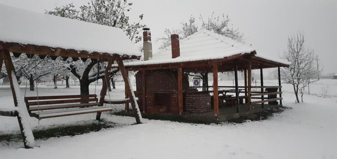 Pensiunea Agroturistica Ica Valea Drăganului エクステリア 写真