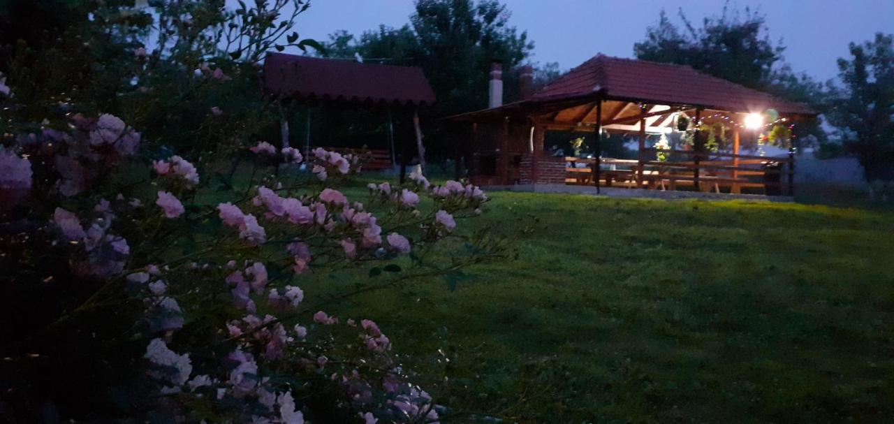 Pensiunea Agroturistica Ica Valea Drăganului エクステリア 写真