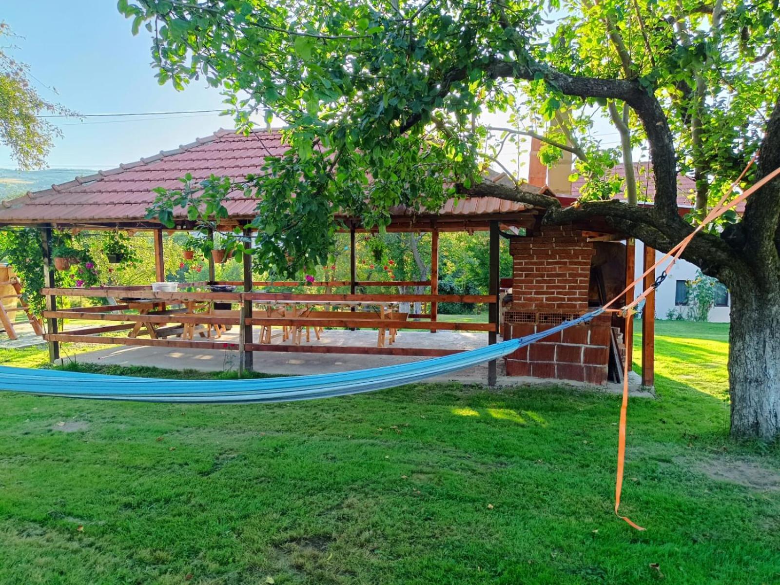 Pensiunea Agroturistica Ica Valea Drăganului エクステリア 写真
